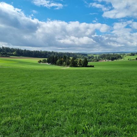 Schoene 2-Zimmer Ferienwohnung Löffingen Exteriör bild