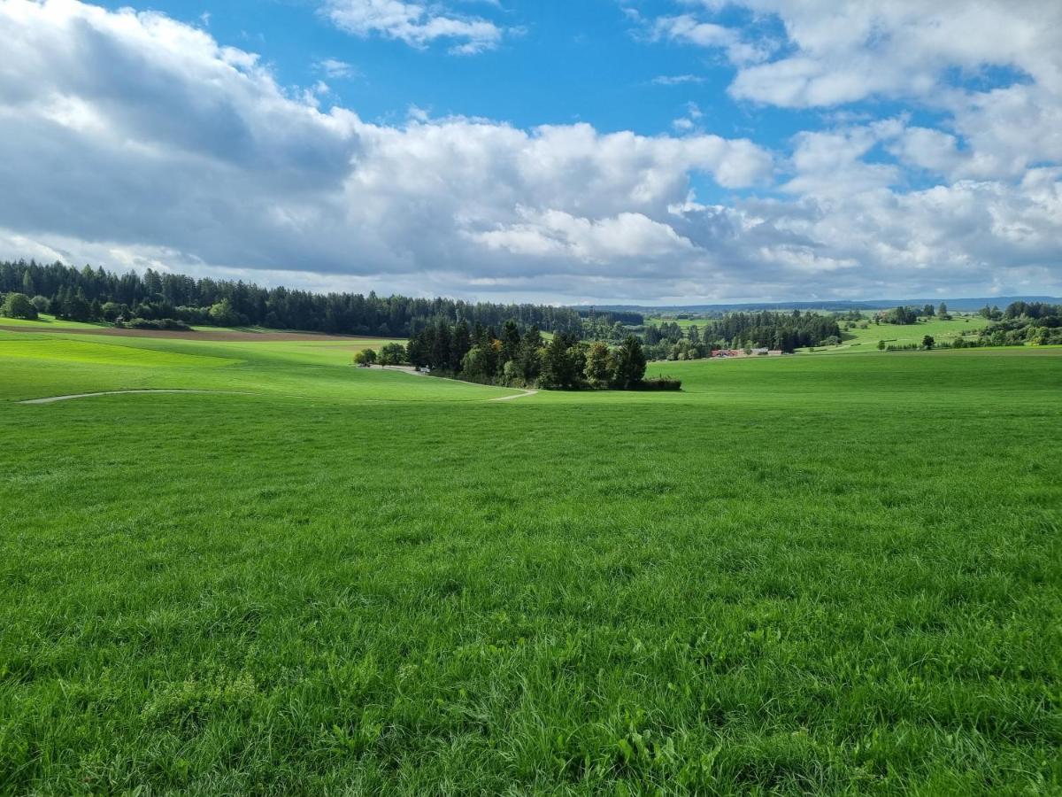 Schoene 2-Zimmer Ferienwohnung Löffingen Exteriör bild