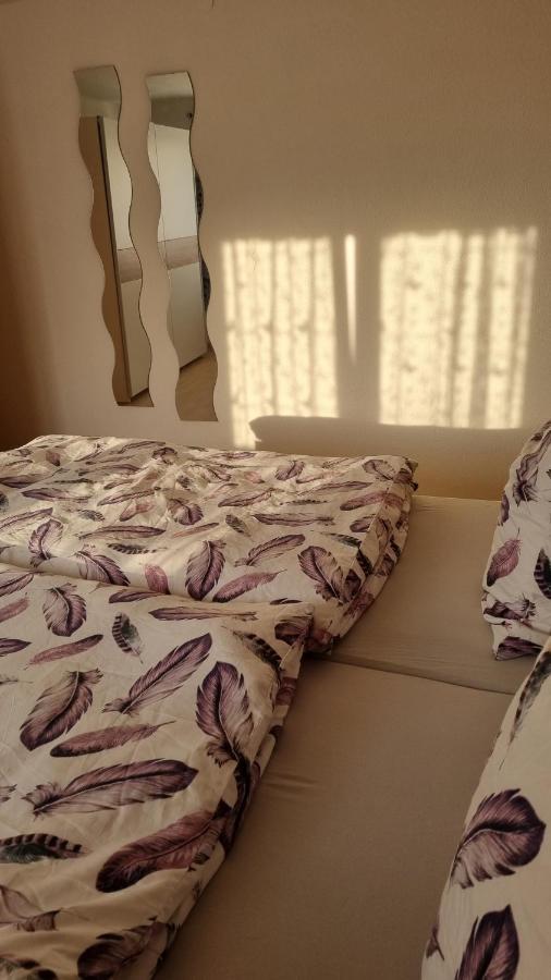 Schoene 2-Zimmer Ferienwohnung Löffingen Exteriör bild